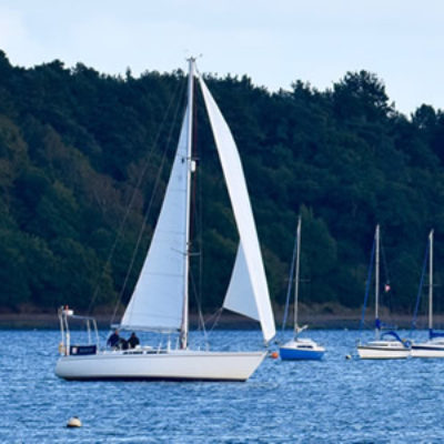 Sailing Trips on River Orwell Near Ipswich