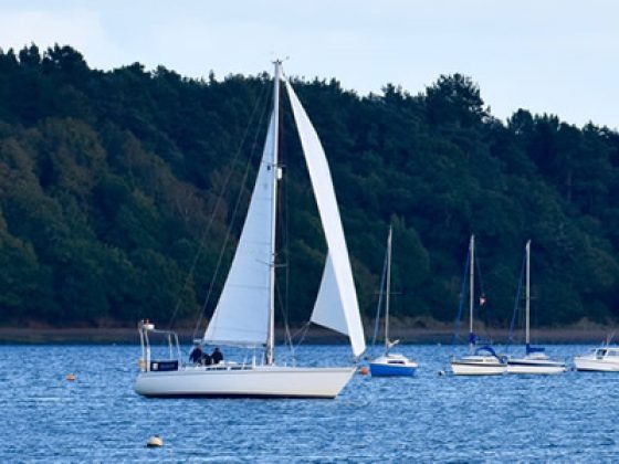 Sailing Trips on River Orwell Near Ipswich