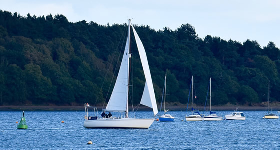 Sailing Trips on River Orwell Near Ipswich