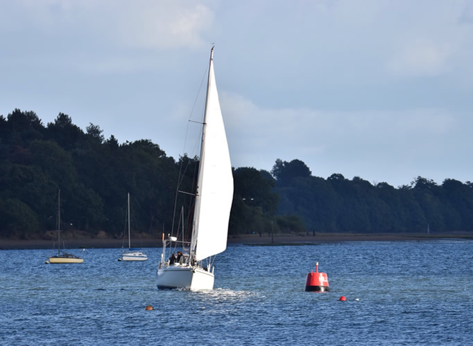 sailing river orwell river stour